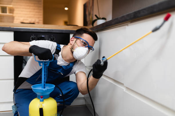 Best Insect Control  in Forest Hills, TN