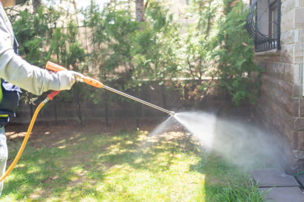 Best Termite Control Services  in Forest Hills, TN