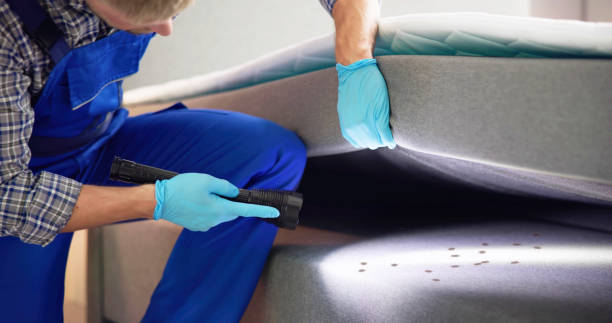 Best Best Pest Control Companies  in Forest Hills, TN