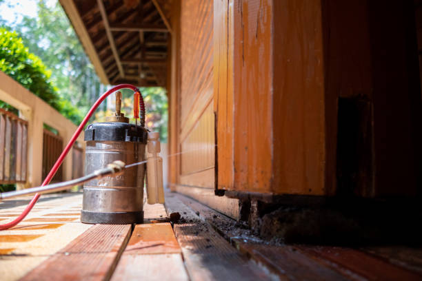 Best Pest Control for Businesses  in Forest Hills, TN