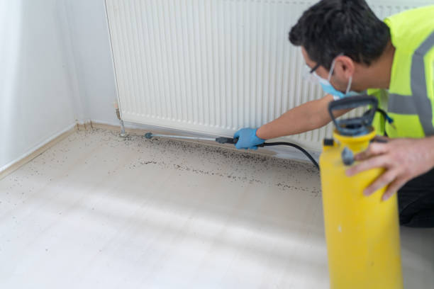 Best Affordable Pest Control Services  in Forest Hills, TN