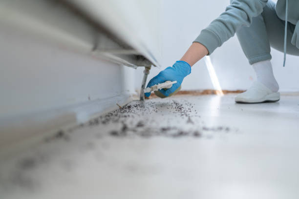 Forest Hills, TN Pest Control Company