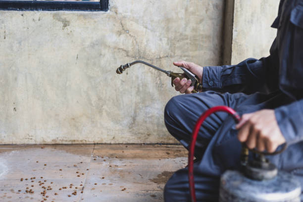 Best Residential Pest Control  in Forest Hills, TN